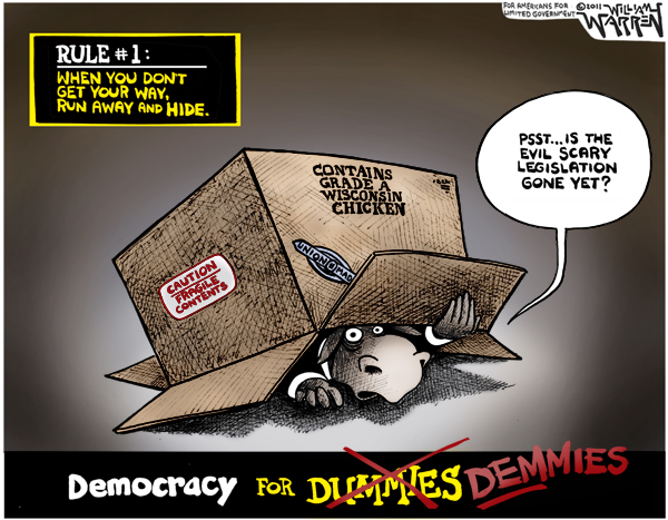 Democracy for Demmies