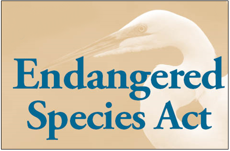 endangered species act essay