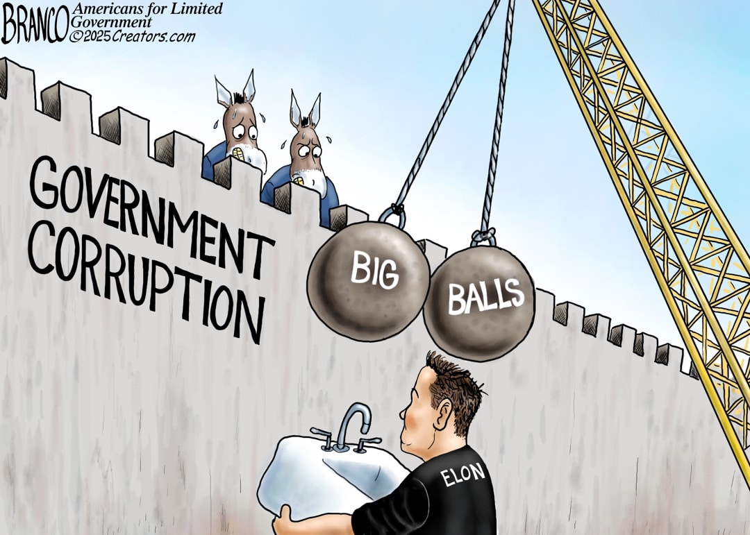 Cartoon: Balls To The Wall