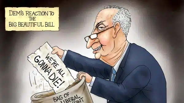 Cartoon: Old Bag Of Tricks