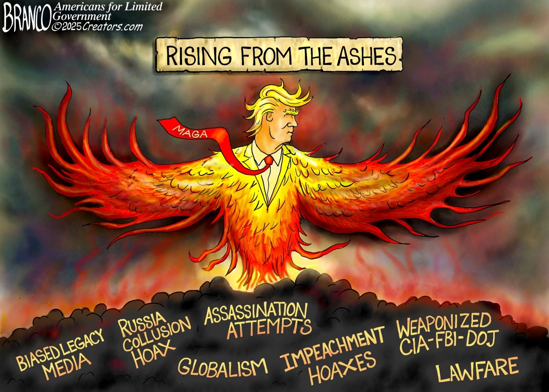 Cartoon: Rising From The Ashes