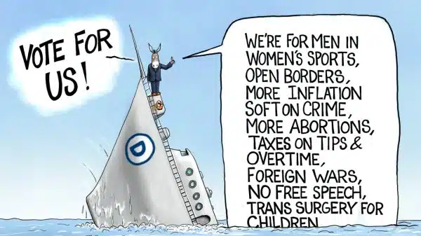 Cartoon: D Platform