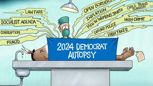 Cartoon: Democrat Autopsy