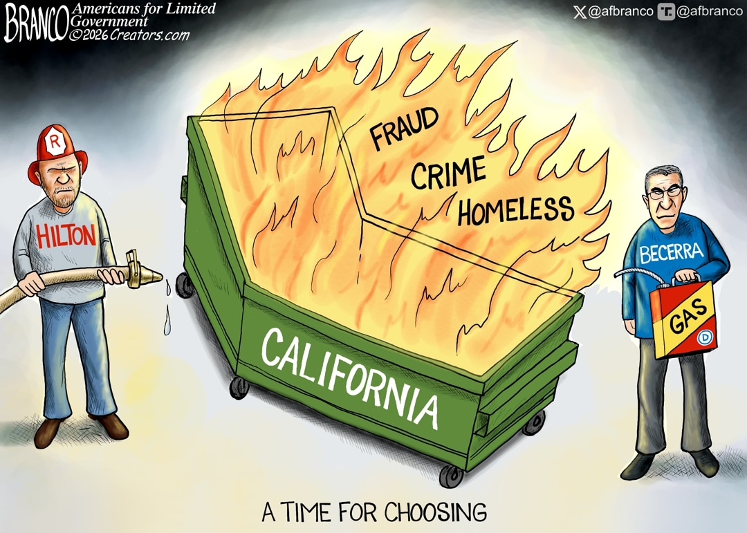 Cartoon: Time to Choose