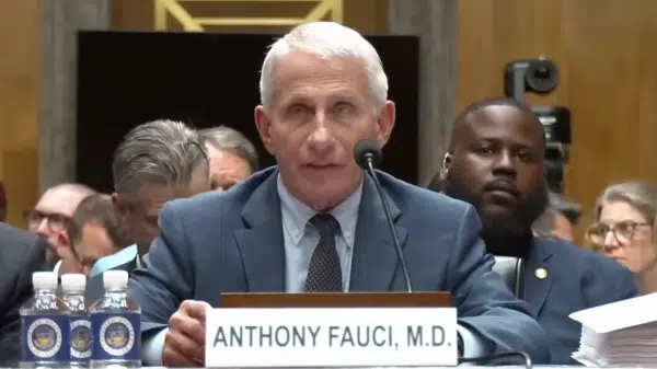 Dr. Fauci’s Messages Reveal He Thought Covid Vaccine Might Pose Pregnancy Risk, But CDC Pushed Pregnant Women To Get It Anyway